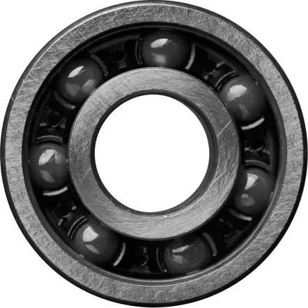 Echt 6000 Kugellager standard