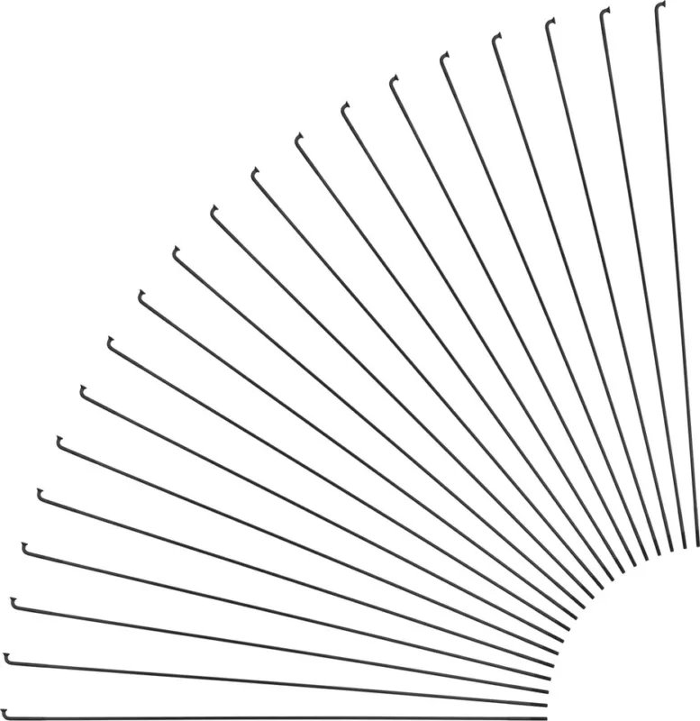 Sapim Race J-Bend Speichen + Nippel - 20 Stück - silber | 250 mm Top-Preis