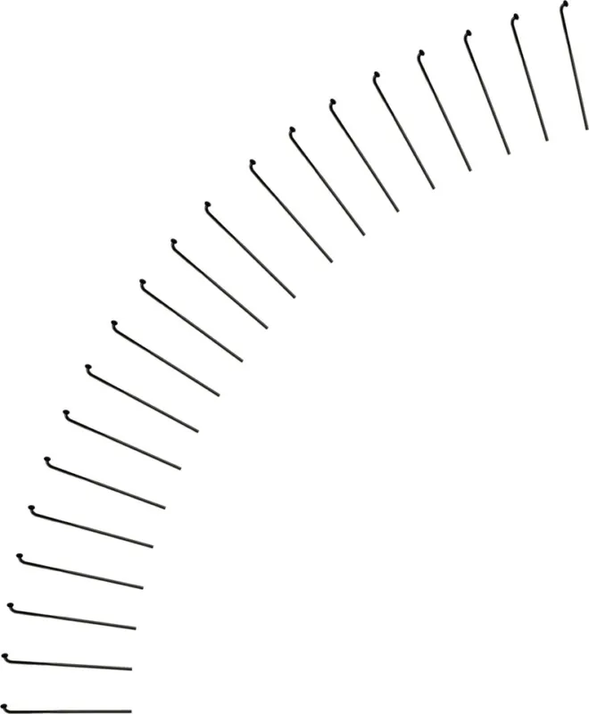 DT Swiss Aerolite® 2.0 / 2.3 / 0.9 Speichen - 20 Stück - silber | 294 mm Kostenloser Versand