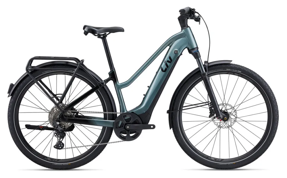 Meistverkauft Liv Amiti-E+ Pro - 800 Wh - 28 Zoll - Trapez - Silver Pine - Größe L