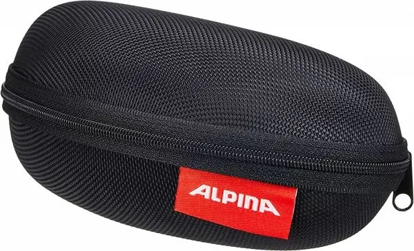 Sonderaktion Alpina Case Brillenetui - large - black - Größe One Size