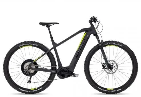Axess Sharp 29 Angebot