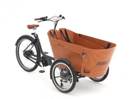 Babboe Carve Mountain ENV HD 500 Abverkauf