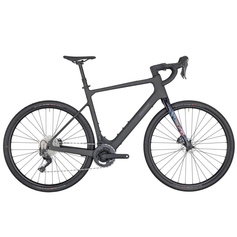 Bergamont E-Grandurance Elite | E-Rennrad | 28" | 360Wh TQ HPR50 | clearcoated raw carbon-55 cm Beliebt