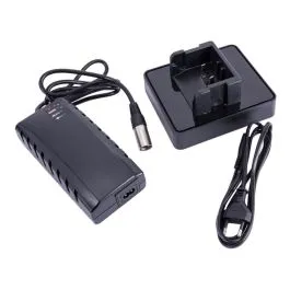 Mega-Angebot Panasonic Rapid Charger Schnellladegerät