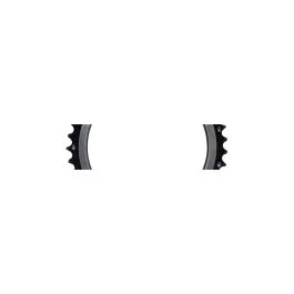 Rabatt Truvativ MTB Kettenblatt BB30 (Lochkreis 120 | 39 Zähne)