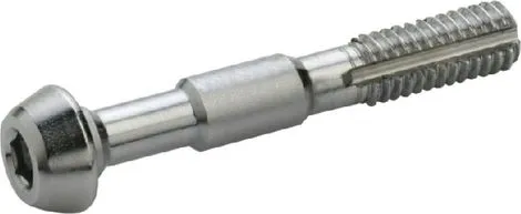Banjo Elvedes Schraube für Shimano BR-M985 Bremssattel (x2) Direkt Vom Hersteller