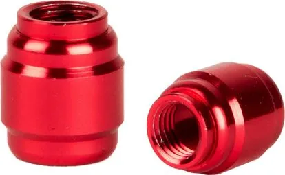 Preisreduziert Set mit 30 Elvedes AV02-1-Oliven für Sram/Avid-Schlauch, rot