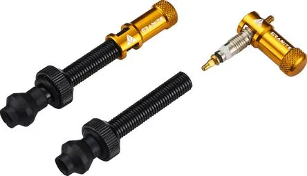 Bestseller Granite Design Juicy Nipple Tubeless Valves 45 mm with Valve Key Caps Gold