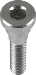 Top-Preis Hope Head Doctor Screw Silver