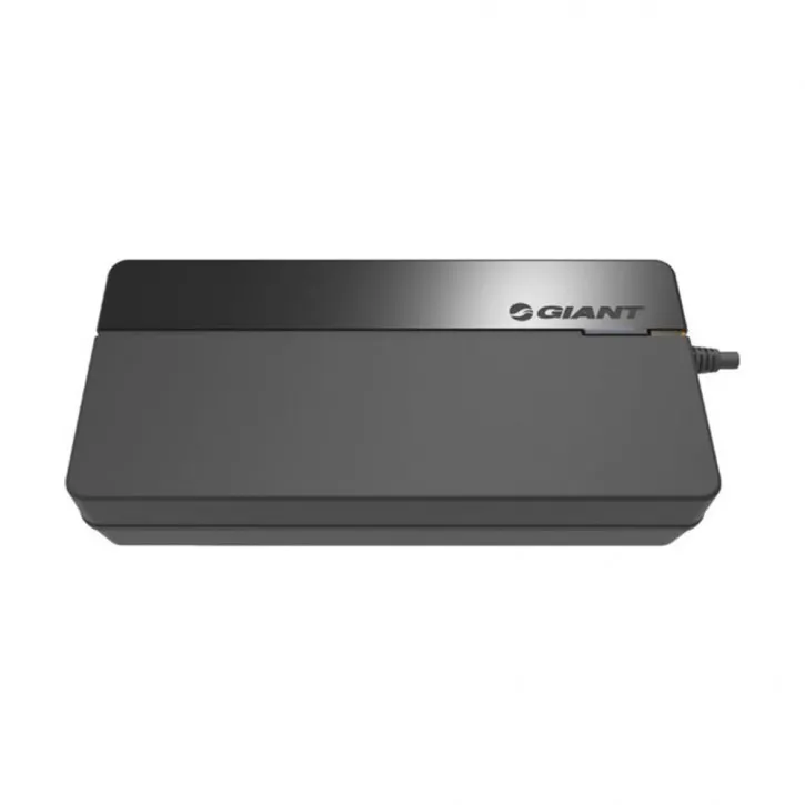 Giant Ladegerät Smart Charger (vollintegrierte Akkus) 6A Mega-Angebot